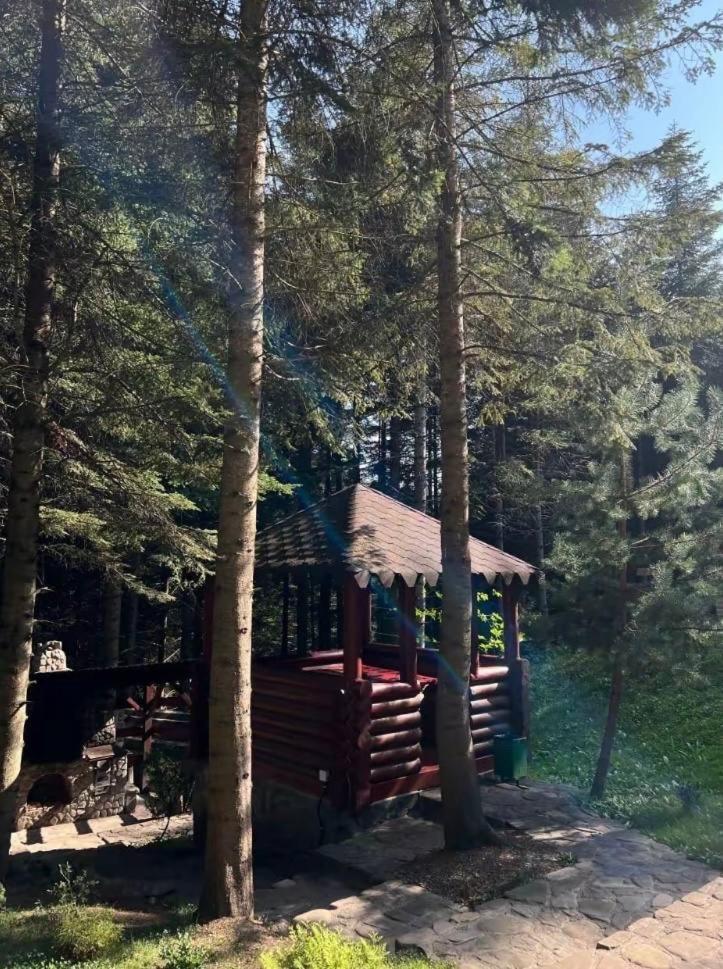 Villa Ялинка Migovo Exterior foto