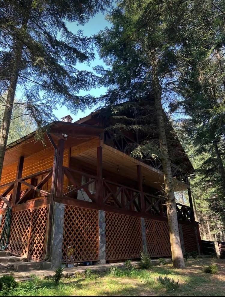 Villa Ялинка Migovo Exterior foto