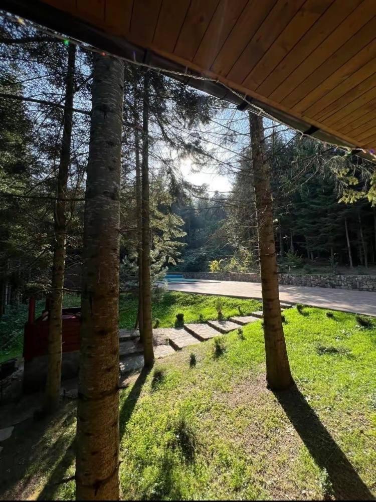 Villa Ялинка Migovo Exterior foto